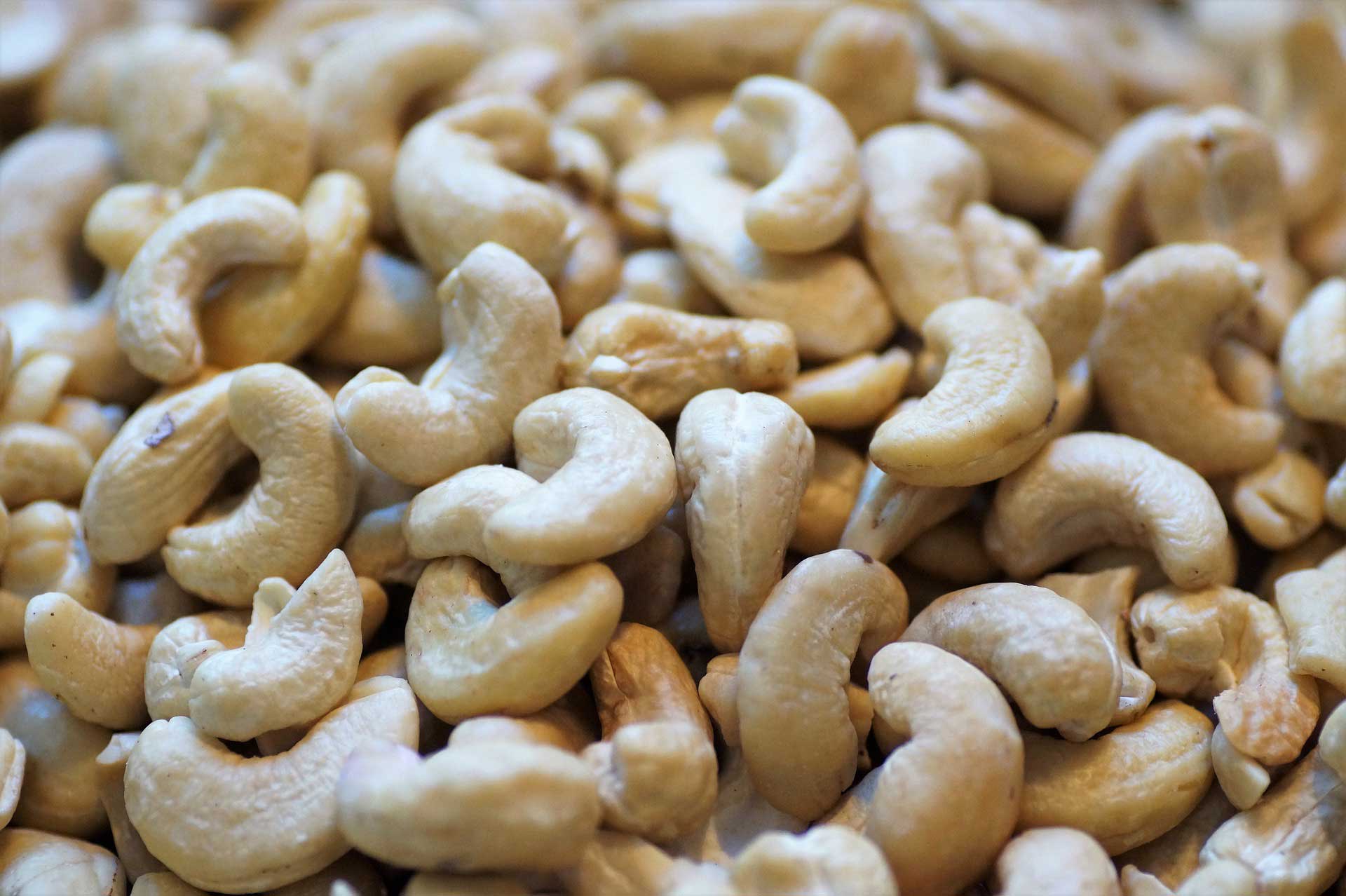 Gum Arabic – Malian Cashew Corporation SARL